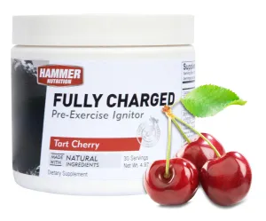 FULLY CHARGED TUB 30 SERVING